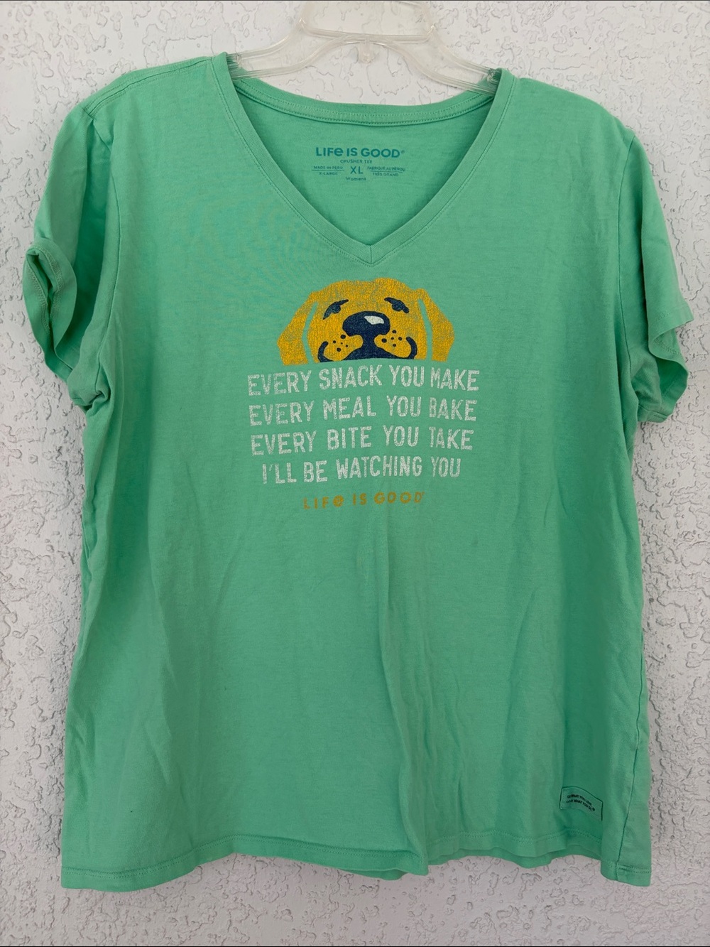 Life Is Good Mint Green V-Neck Dog Graphic crusher tee size XL
